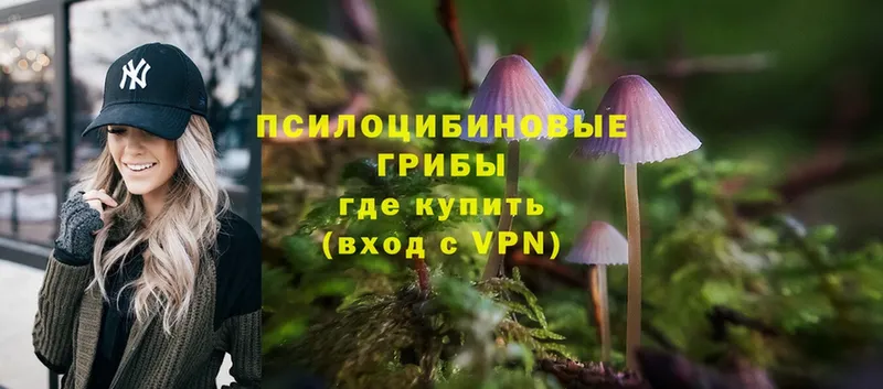 маркетплейс какой сайт  Кинель  Галлюциногенные грибы Psilocybe  как найти закладки 